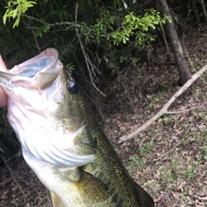 Meet your Posher, Hunter